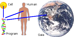 DNA must contain information about its life-form's niche environment.