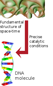 Monster of Symmetry as the source of DNA information.