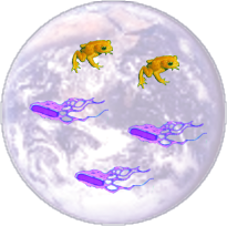 Chaos theory's 3 options where there are too few species in the biosphere.