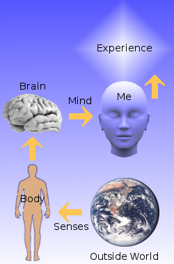 Complex physical chain through which experience is delivered.