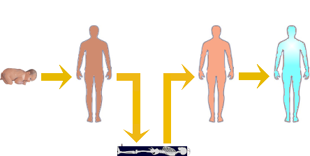 Lifetimes: from human birth to transformation into a god.