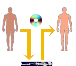 Schematic: passage to the next life.