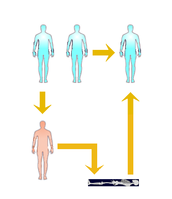 Flow schematic of the sacrifice and resurrection of Christ.