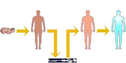 Schematic of the transformation of man into god.