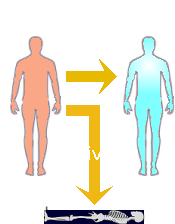 The transformation of a man into a god.