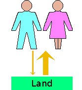 Illustration of the return on labour applied to land.