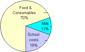 Pie chart of a per person per day budget.