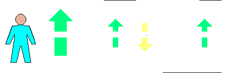 The elements of a capitalist's circadian income.