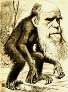 Theory of evolution cartoon of Charles Darwin as an ape.