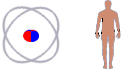 Analogy: individuals are the atoms of society.