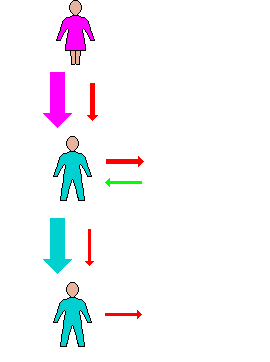 Schematic illustrating the principle of how the government make Peter responsible for collecting and paying Paul's tax.