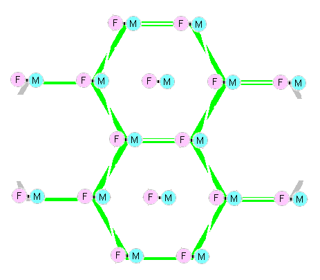 An intentional-community network.