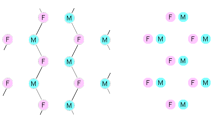 The hexagonal intimate network.