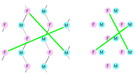 The small-world intimate network.