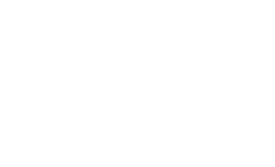 Bar chart of an individual's aptitude profile.