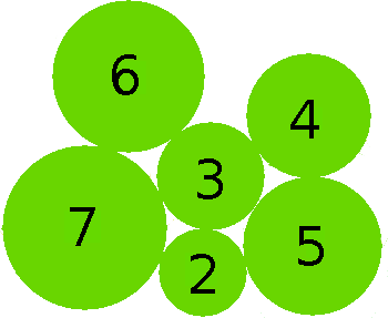 Illustration of various sizes of family gleba.