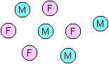 Pink and blue circles representing single (unconnected) young adults.