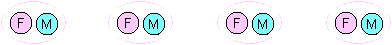 Linked pink and blue circles representing married (connected) pairs of adults.