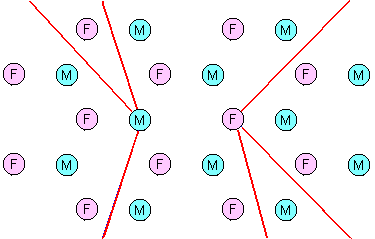 A male-female small-world network of friends.