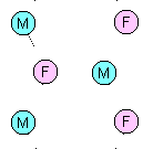 Marital links within the small-world network of male-female friendship.