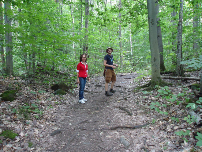 Gatineau Park, Ottawa.