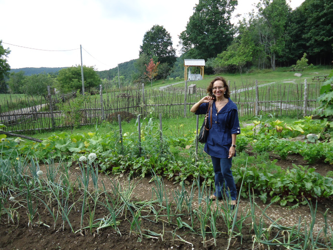 Wild Life Park Vegetable Garden, Ottawa.