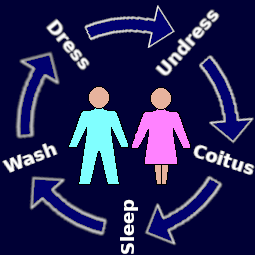 Cycle of bedroom activities.