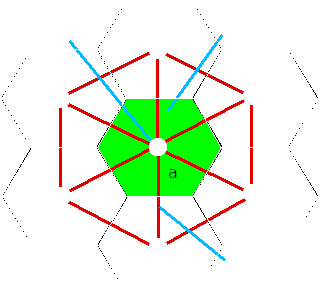 A hexagonal tree-planting plan.