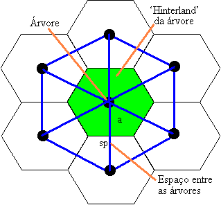 Um plano hexagonal de plantação de árvores.