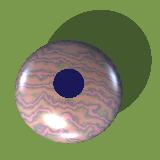 Basic oblate ellipsoidal accommodation module with skylight.