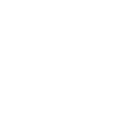 The field representative's role with EBS Marketeer.