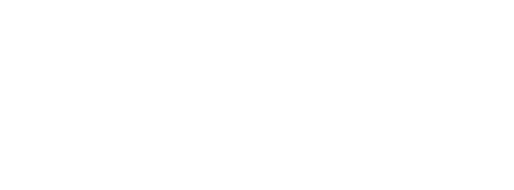Pointer structure for an externally declared input array for the multi-layer perceptron.
