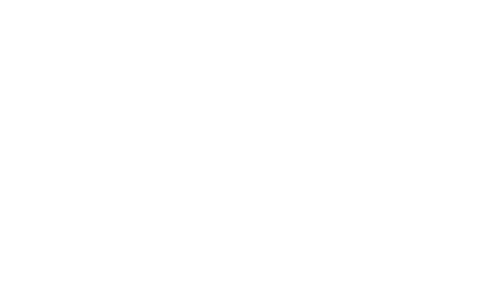 How the pointers relate to the whole structure of the weights arrays.