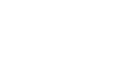 The input arguements for the multi-layer perceptron's command line.