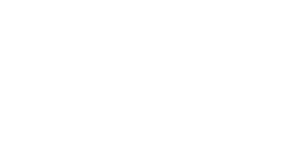 Data structure of the file containing the neuron link weights.