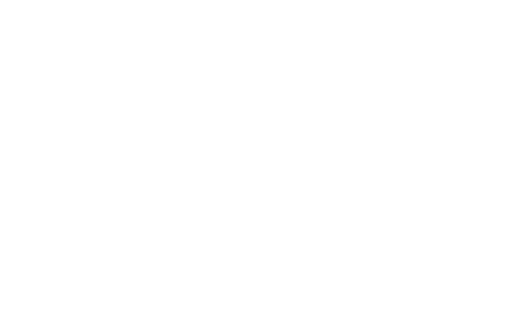 EBS Nexus call connection window.